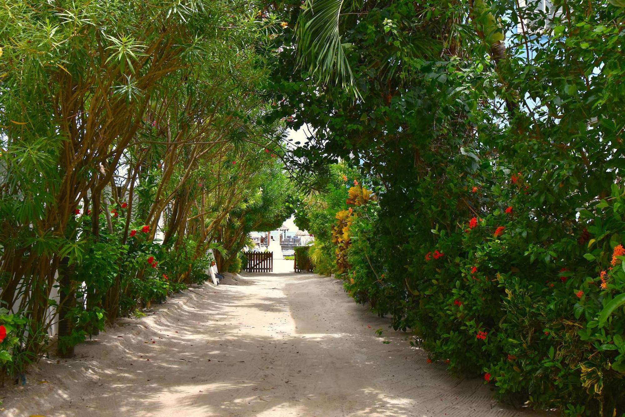 Palmetto Garden Cottage Кей-Колкер Екстер'єр фото