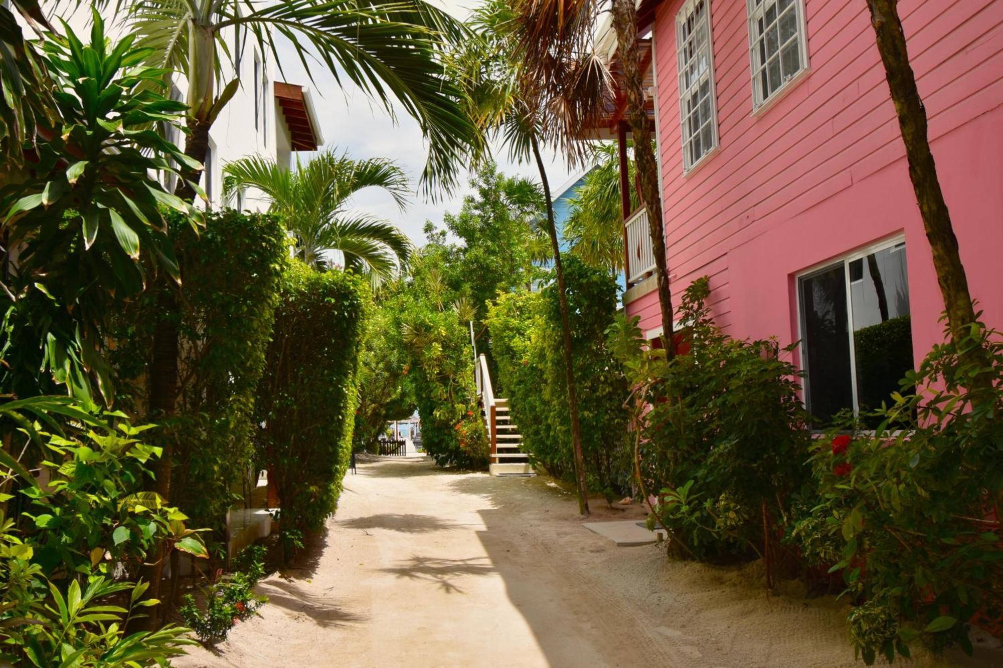 Palmetto Garden Cottage Кей-Колкер Екстер'єр фото